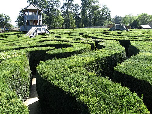 Longleat Hedge Maze