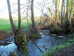 Trees in a stream alongside Pentre Lane - geograph.org.uk - 2731956.jpg