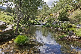 Arroyo del Aguilón, río Lozoya - 01.jpg