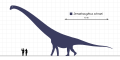 Dreadnoughtus Scale Diagram