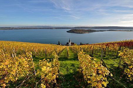 Bielersee/Lac de Bienne by Milko Vuille