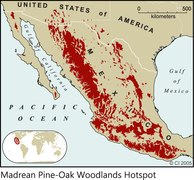 Madrean Pine-Oak Woodlands Hotspot 2005 Print.tif