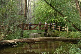 Mostek v údolí Peklo poblíž České Lípy