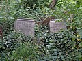Alter Jüdischer Friedhof in Cieszyn (Teschen)