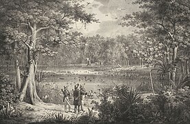 C. Heinzmann - Lagoa das aves no rio São Francisco.JPG