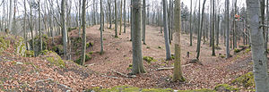 Abschnittsbefestigung Winterstein - Ansicht der Befestigungsanlage aus nördlicher Richtung. In der rechten Bildhälfte ist am Plateaurand ein Wall zu erkennen. (April 2011)