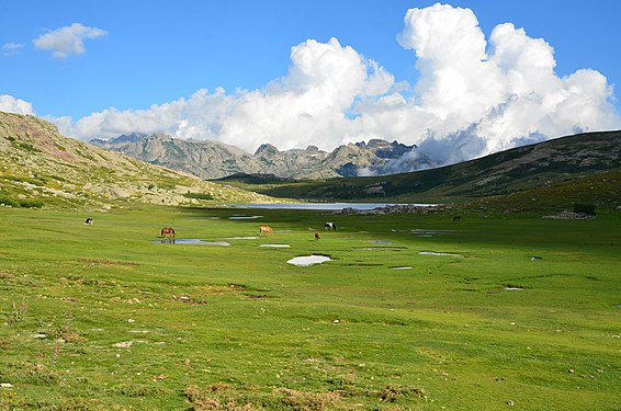 Lac de Nino (PNR de Corse) Photograph: Ed BEDOS