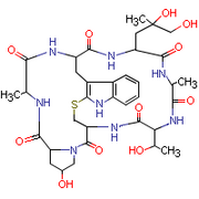 Strukt vzorec phalloidin.PNG