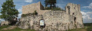 Burgruine-Lichtenegg - Ansicht von Süden (Mai 2009)