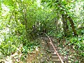 Stairs in the park