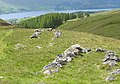 osmwiki:File:Shielings Loch Tay.jpg