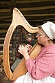 Celtic harp Hill-McNeil store