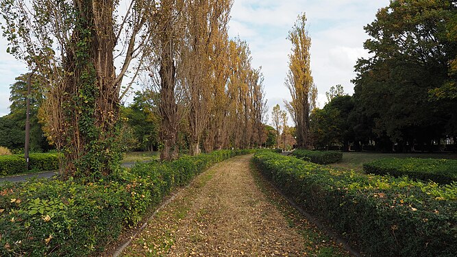 Mizumoto Park, Tokyo