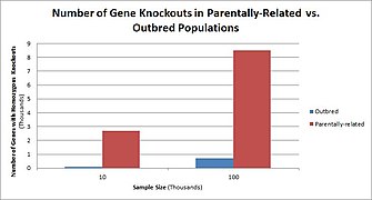 Gene Knockouts in Outbred vs. Parentally-related populations.jpg