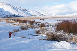 Photographer on the National Elk Refuge - Dec 31, 2021 (2).jpg