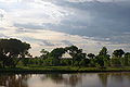 Rio Grande and bosque south of Albuquerque, New Mexico