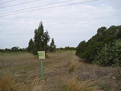 Vista de la parcela objeto de ubicación de la parte sur de la Escuela Superior de Ingeniería. Se aprecia el cartel indicativo del Parque Natural de la Bahía de Cádiz. - panoramio.jpg