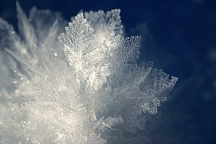 Close-up photograph of rime ice