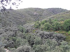 Quinta da Taberna - vista panorâmica.jpg