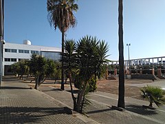 Campus de Jerez - IMG 20200727 100049 317.jpg