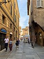 Street in Modena