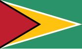 蓋亞那（Guyana）國旗