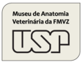 Since 2016, the UGWB has launched a GLAM initiative with the University of São Paulo Museum of Veterinary Anatomy, featured as a case study on Outreach Wikimedia