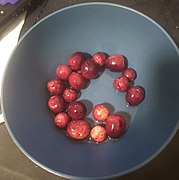 Cranberries in bowl.jpg