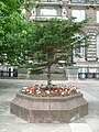 The Strand, Liverpool July