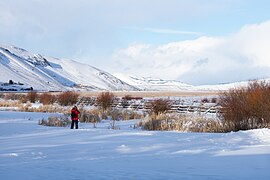 Photographer on the National Elk Refuge - Dec 31, 2021 (3).jpg