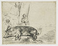 The Hog label QS:Len,"The Hog" label QS:Lde,"Das Schwein" label QS:Lnl,"De zeug" . 1643. etching print. 14.4 × 18.3 cm (5.6 × 7.2 in). Various collections.