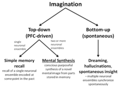 Mental Synthesis Definition.png