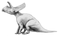 Torosaurus