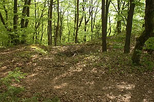 Burgstall Hartenfels - Mulde in der Hauptburg, möglicherweise die Stelle der Zisterne (März 2012)