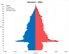 Norwich pop pyramid.svg