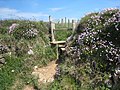 Stile above Basset's Cove