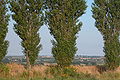 Typical mid-Ærø landscape