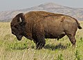 Wichita Mountain Wildlife Refuge, Oklahoma