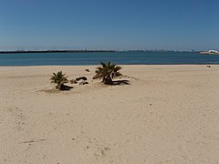 Playa de El Aculadero (31807944440).jpg