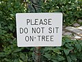 "Please do not sit on the tree" sign