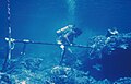 Coral drilling on Mactan, Phillipines