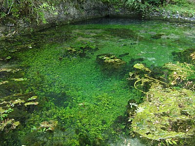 Lauter spring in "Kleines Lautertal" nature reserve, Baden-Württemberg © Klaus Rohwer