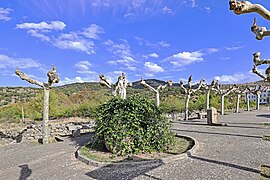 Fuente y paseo en Ledrada.jpg