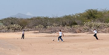 Niños de colegio jugando.jpg