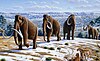 Woolly mammoth (Mammuthus primigenius) - Mauricio Antón.jpg