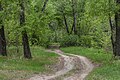 * Nomination Dirt road in Floodplain of Irtysh sanctuary. Pavlodar Region, Kazakhstan. By User:Ivan ideia --Красный 00:08, 13 August 2024 (UTC) * Promotion Good quality. --Kritzolina 07:02, 18 August 2024 (UTC)