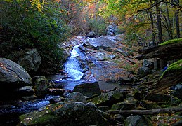 Lynn Camp Prong near Tremont