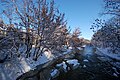 Vilnia River at winter