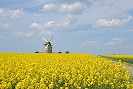 Moulin de Moidrey (Moidrey windmill) near Mont Saint Michel (8734975751).jpg