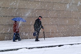 Snow flurry in Dresden.